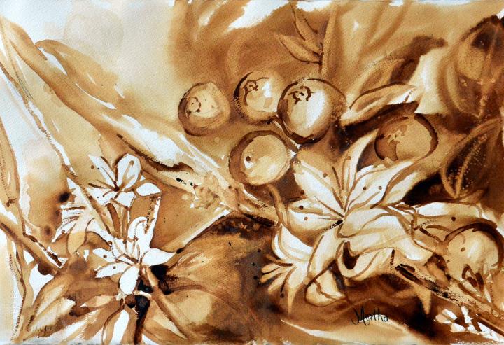 Fleurs et cerises de café (caférelle)