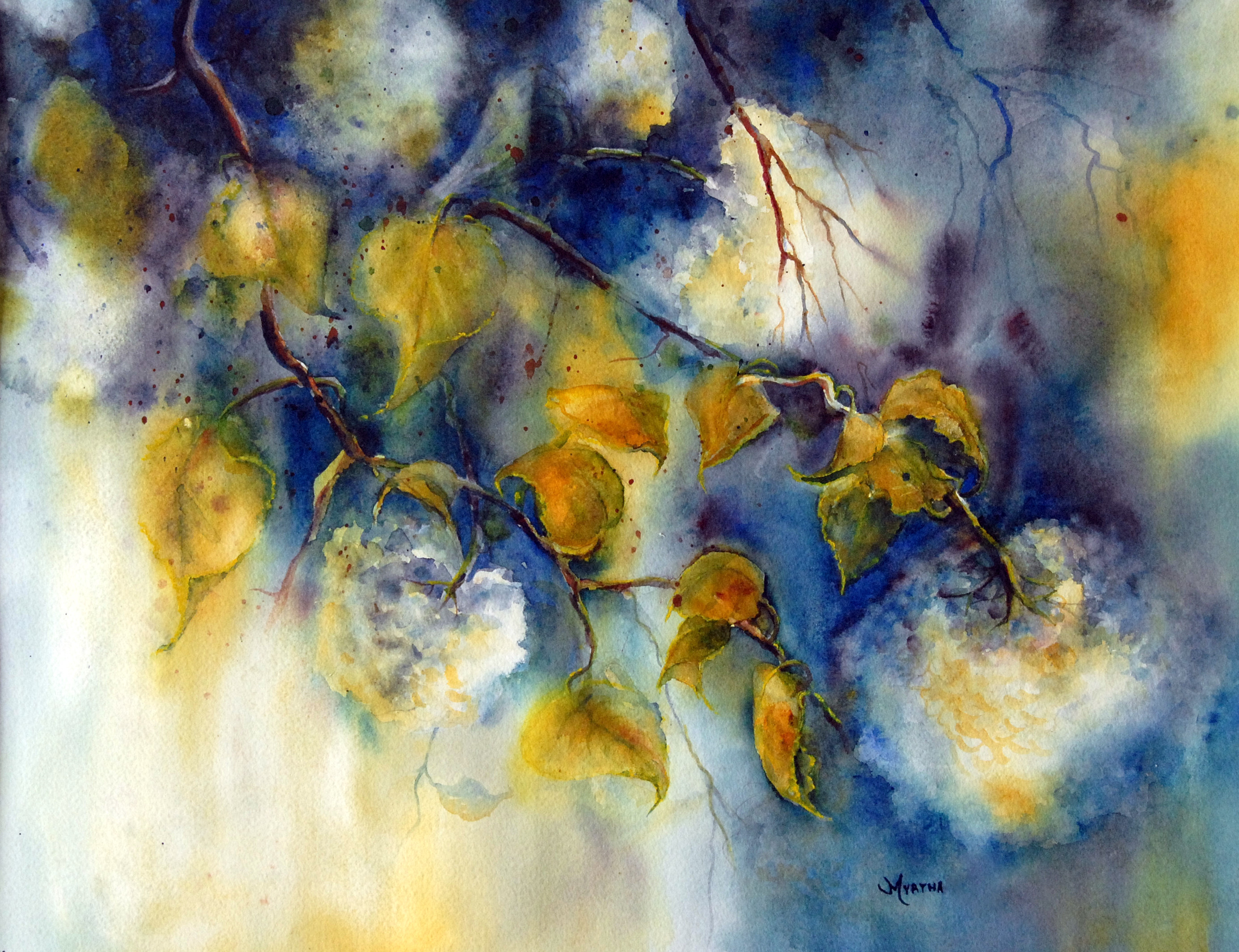 Fleurs d'Obier
